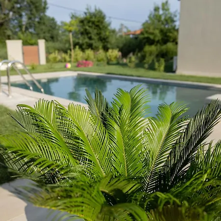 Olympus Mare Village Seaside Pool *